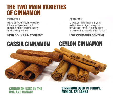 Cassia_and_Ceylon_Cinnamon_3.jpg