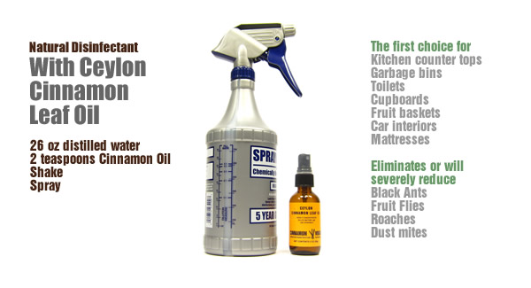 natural cinnamon oil disinfectant spray 