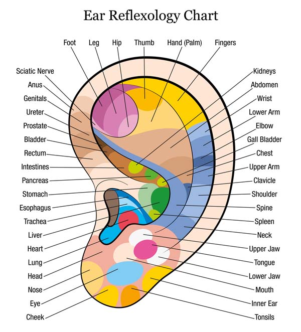 Reflexology Chart Headache