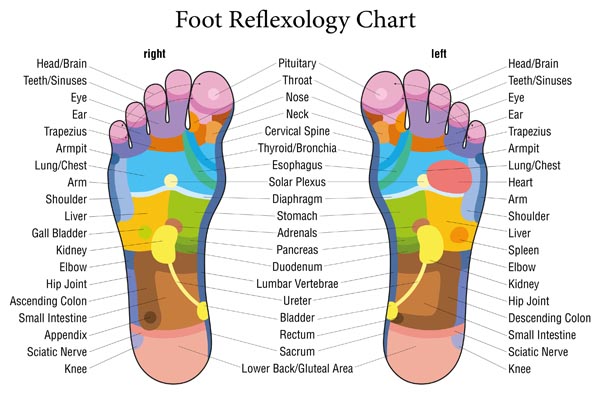 Reflexology Foot Chart Top Of Foot