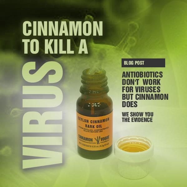 cinnamon_virus_fighter_1