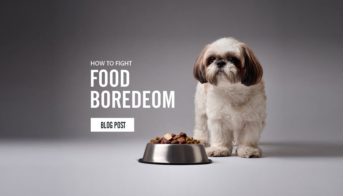 How to fight food boredom