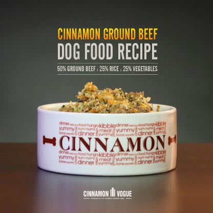 Cinnamon Ground Beef Dog Food Recipe