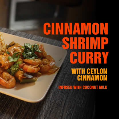 Cinnamon Shrimp Curry