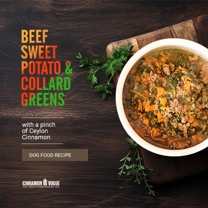 Cinnamon Beef sweet potato dog recipe